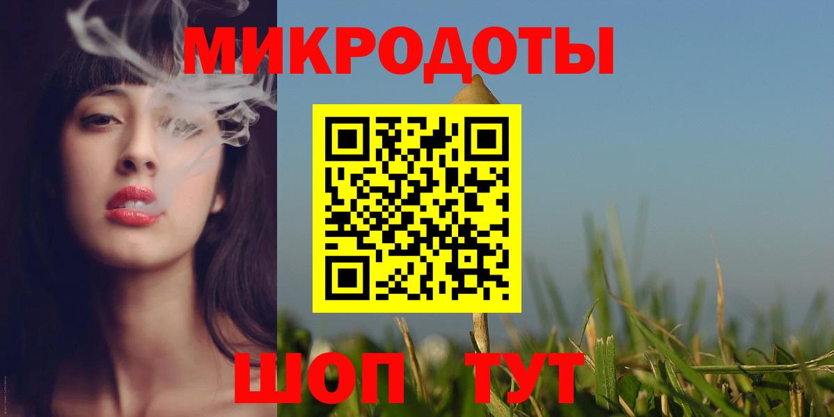 Псилоцибиновые грибы мицелий  купить наркотик  Заводоуковск  Вход с VPN 